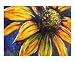 Explosion Botanical Giclee Poster Print by Michelle Leivan, 24x20
