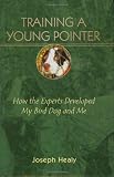 Training A Young Pointer: How The Experts Developed My Bird Dog And Me