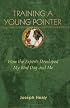 Training A Young Pointer: How The Experts Developed My Bird Dog And Me