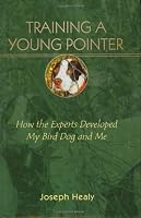 Training A Young Pointer: How The Experts Developed My Bird Dog And Me