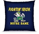 Biederlack NCAA Notre Dame Floor Pillow