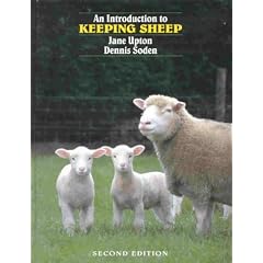 An Introduction to Keeping Sheep