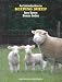 An Introduction to Keeping Sheep