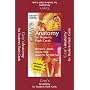 Gray's Anatomy for Students Flash Cards: With STUDENT CONSULT Online Access