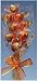 Pumpkin Lollipop Bouquets, Pack of 6