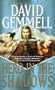 Hero in the Shadows (Drenai Tales, Book 9)