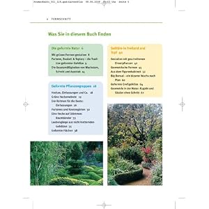 Formschnitt: Die besten Arten und die richtige Technik