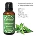 Peppermint Essential Oil (100% Pure Mentha Piperita). Common Uses: Colds, Congestion, Fever Reducer, Headache Relief, Joint Therapy, Mouthwash. (30mL/1oz)