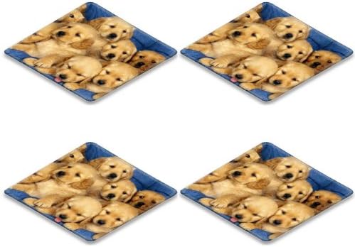 Cocker Spaniel Puppy Dog Square Coaster (4 Piece) Set Fabric Rubber 5 Inch Size Luxlady Coaster Cup Mug Can Water Bottle Drink Coasters Stain Resistance Collector Kit Kitchen Table Top Desk