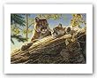 Keeping Guard by Kalon Baughan 8"x12" Art Print Poster
