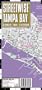 Streetwise Tampa Map - Laminated City Center Street Map of Tampa, Florida - Folding pocket size travel map with trolley lines