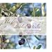 Un d�jeuner de soleil en Italie : Recettes, histoires et parfums de ma cuisine italienne...