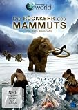Produkt-Bild: Die R&uuml;ckkehr des Mammuts