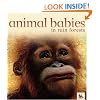 Animal Babies in Rain Forests