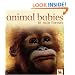 Animal Babies in Rain Forests