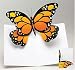 Sabuda Butterfly Pop Up Cards, Set of 8 Cards with 2 Different Butterfly Styles Including Orange and Blue