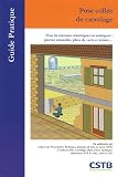 Pose coll�e de carrelage : Pose de carreaux c�ramiques ou analogues : pierres naturelles, p�tes de verre et �maux