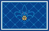 New Orleans Hornets Rug 5x8 60"x92"