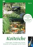 Koiteiche & Koi - Teil 2