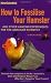 How to Fossilise Your Hamster: And Other Amazing Experiments For The Armchair Scientist