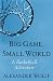 Big Game, Small World: A Basketball Adventure