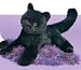 Stuffed Stella Black Cat