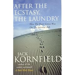 After the Ecstacy, the Laundry