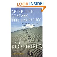 After the Ecstasy, the Laundry