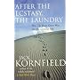 After the Ecstasy, the Laundry