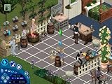 THE SIMS MAKIN' MAGIC