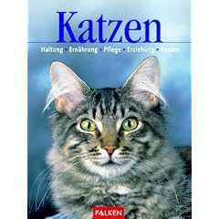 Katzen