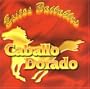 Exitos Bailables