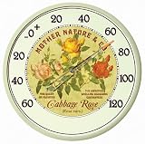 Chaney Cabbage Rose Model 1836 Pack of 3 - B001REA20Q