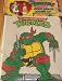 Search : Teenage Mutant Ninja Turtle ~ Kiddy Apron Cover Up