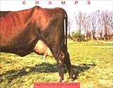  Champs, agriculture dans l
