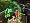 Justice League Heroes (Xbox)