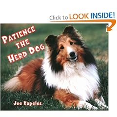 Patience the Herd Dog