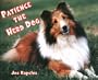 Patience the Herd Dog
