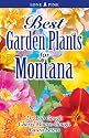 Best Garden Plants For Montana