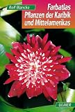 Farbatlas Pflanzen der Karibik und Mittelamerikas