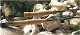 St. Croix Avid Series Fly Rods Model: A906.4 (9' 0, 6 wt., 4 pc.)