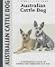 Australian Cattle Dog