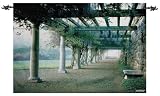 South Terrace, Pergola