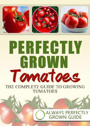 Perfectly Grown Tomatoes - the complete guide to growing tomatoes
