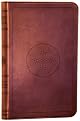 The Bible