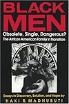 Black Men: Obsolete, Single, Dangerous? : Afrikan American Families in Transition : Essays in Discovery, Solution and Hope
