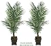 TWO 7' King Areca Artificial Tropical Palm Trees, with No Pot,