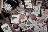 1940s Garden & Home Gardening Films DVD: Classic Horticulture & Plant Growth Videos w/ Flower, Vegetable, Herbs, Soil & Seed Tips