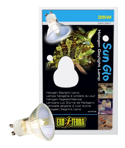 Exo Terra PT2180 Sun Glo Halogenspot 35 W Preisvergleich