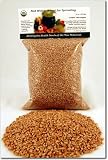 Organic Wheat Wheatgrass Seed / Wheat Grass Seeds 1 Lb 513Qv7OtESL. SL160 Organic Wheat Wheatgrass Seed / Wheat Grass Seeds 1 Lb